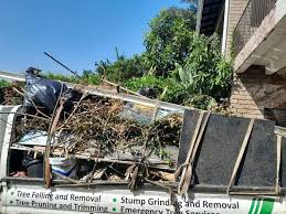 Best Construction Debris Removal  in Albion, NE